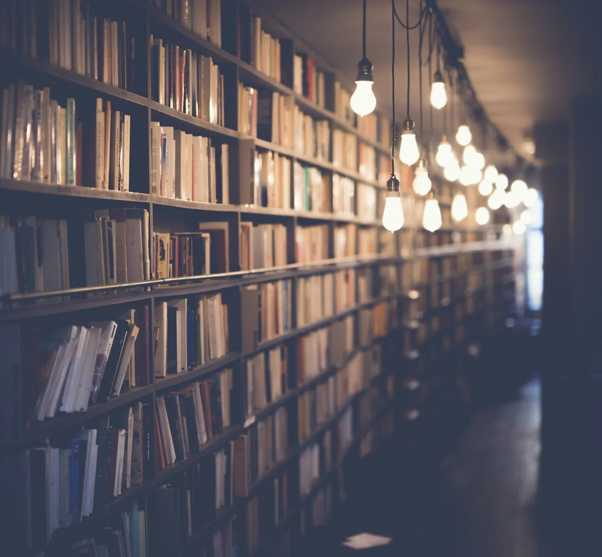 Rows of books on tall library shelves